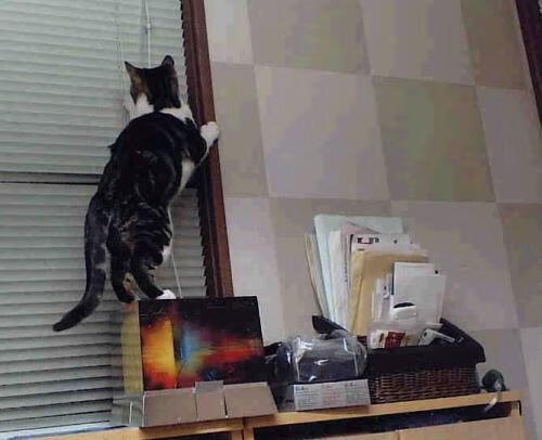 乌克兰队晋级欧洲杯十六强，表现令人惊喜，乌克兰队欧洲杯大名单