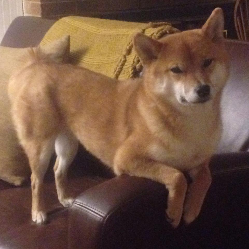 全国青少年“绿色未来”环保篮球赛事在昆明盛大举行，践行可持续发展理念